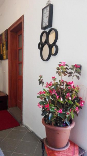  Passion Apartment  Печ